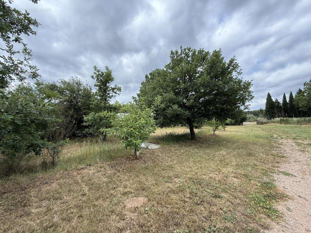 Terrain à CASTELNOU