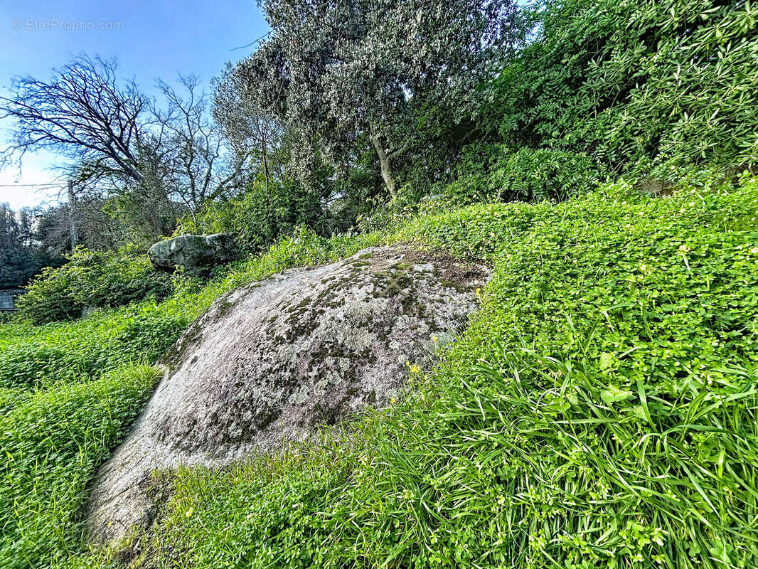 Maison à PORTO-VECCHIO
