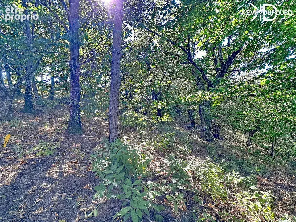Terrain de 1.166m² à saint joseph des bancs - photo 3