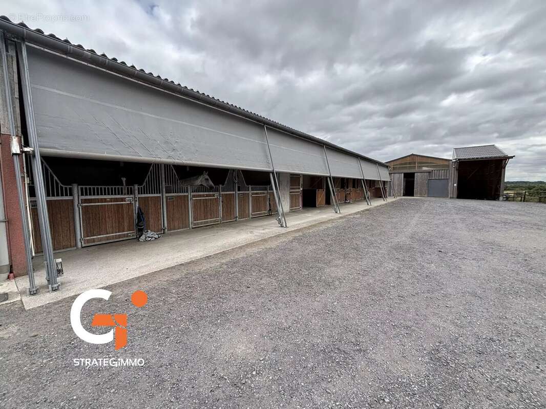 Propriété équestre et Habitation sur 14 Ha - photo 20