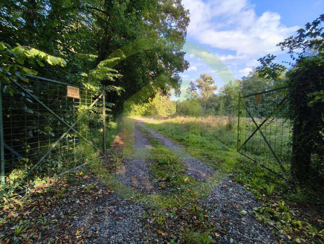 Terrain à LE NOUVION-EN-THIERACHE