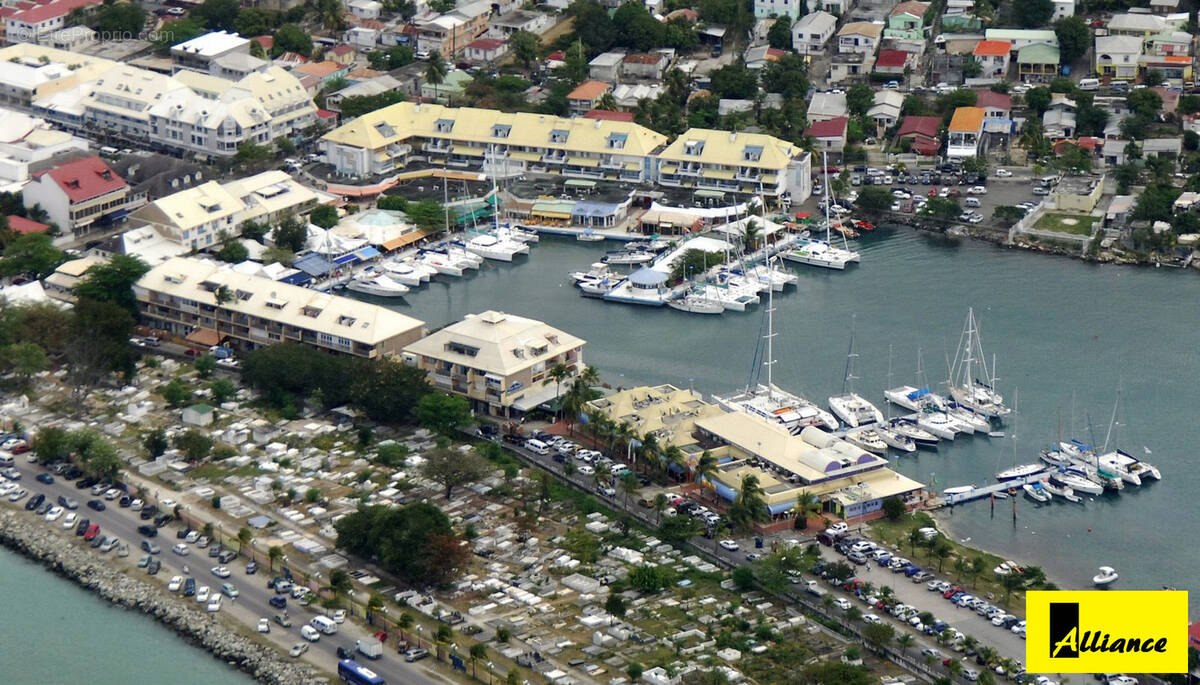 Commerce à SAINT-MARTIN