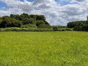 Terrain à BEAUPREAU