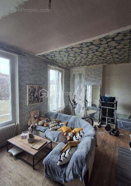 Maison de ville de 260 M2 avec jardin à Villeneuve-l'Archevêque - photo 8