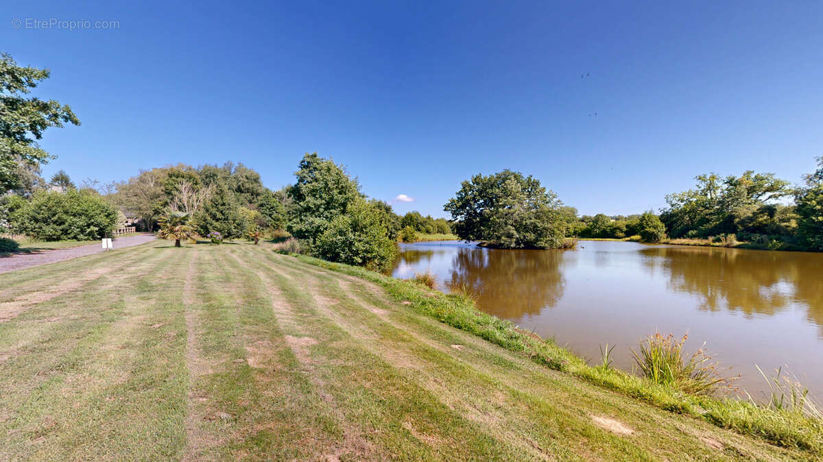 Propriété d'exception avec Gites - 403 m2 sur terrain de 8,5 hectares avec dépendances et étangs. - photo 29