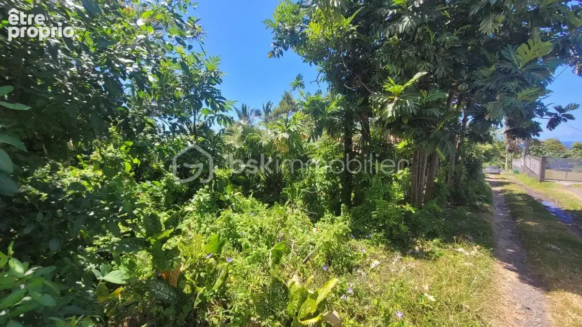 Vente Terrain Constructible de 778 m² Le Baril - Saint-Philippe - photo 4