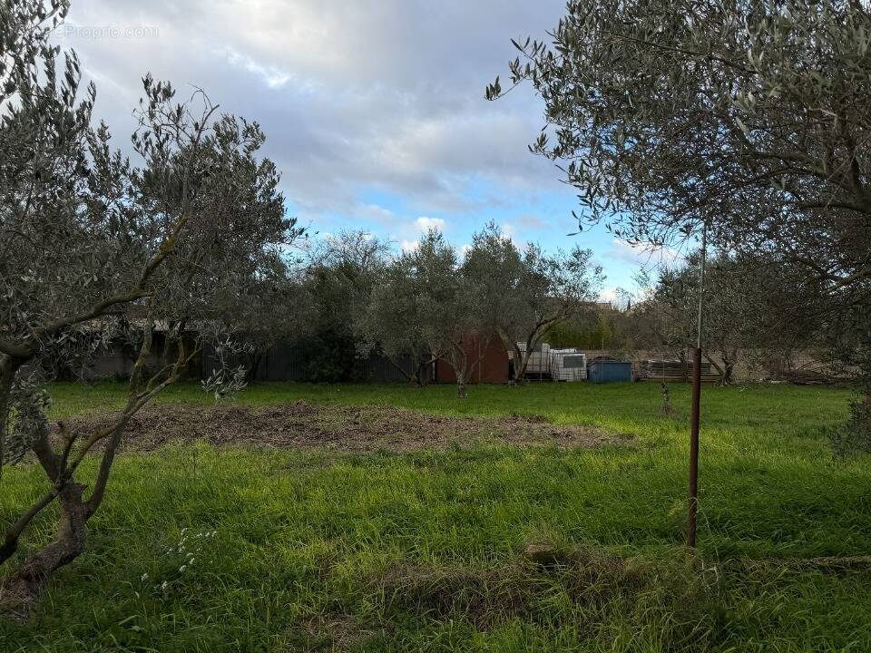 Terrain à VALERGUES