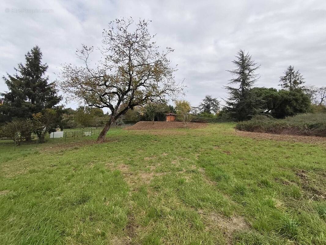 Terrain à SAINT-CLAUD