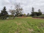 Terrain à SAINT-CLAUD