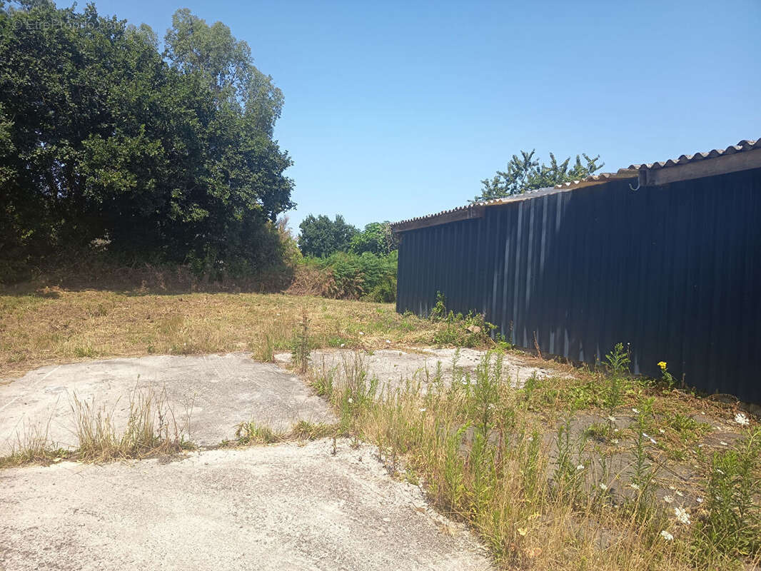 Terrain Le Faouet - photo 5