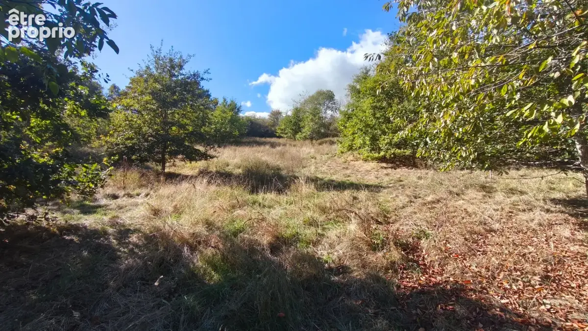 Terrain 4740m² à arcisses - photo 3