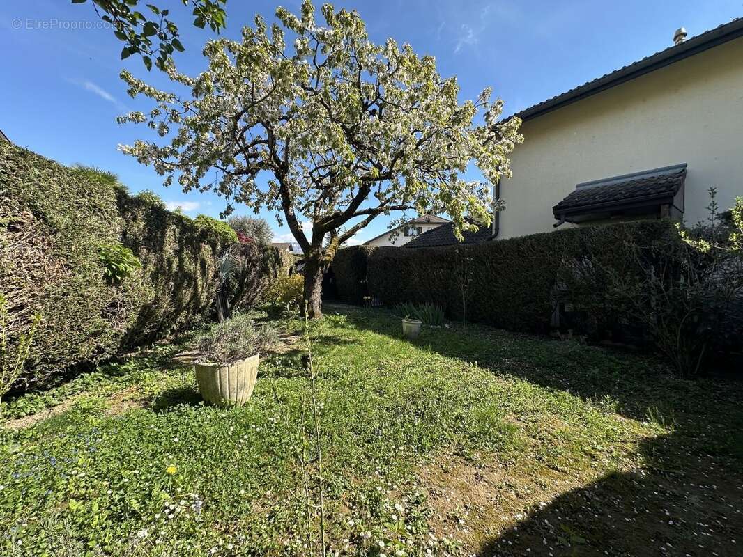 Appartement à MEYTHET