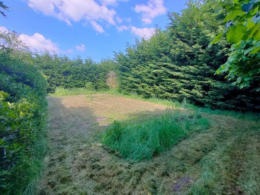 Maison à SAINT-MARTIN-DES-TILLEULS