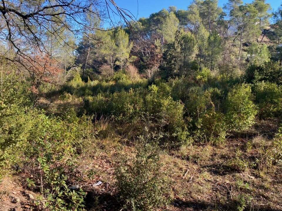 Terrain à BRIGNOLES