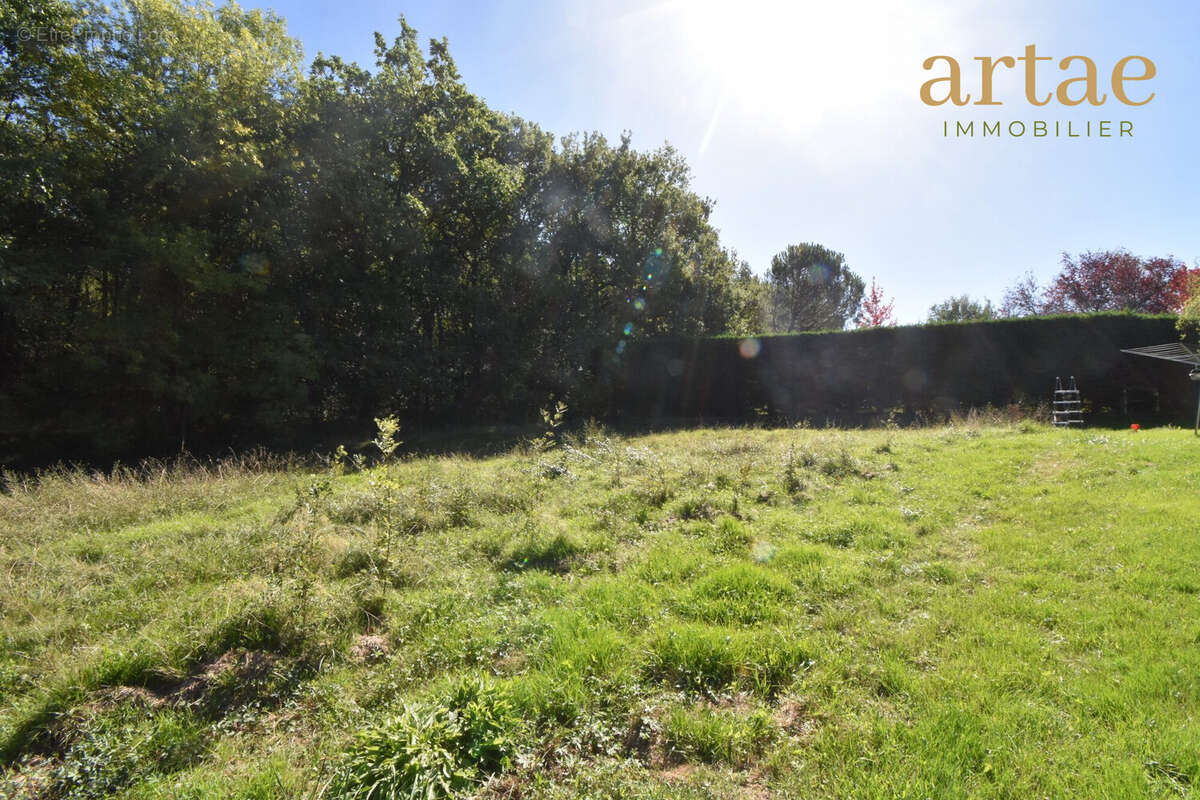 Terrain à SAINT-LYS