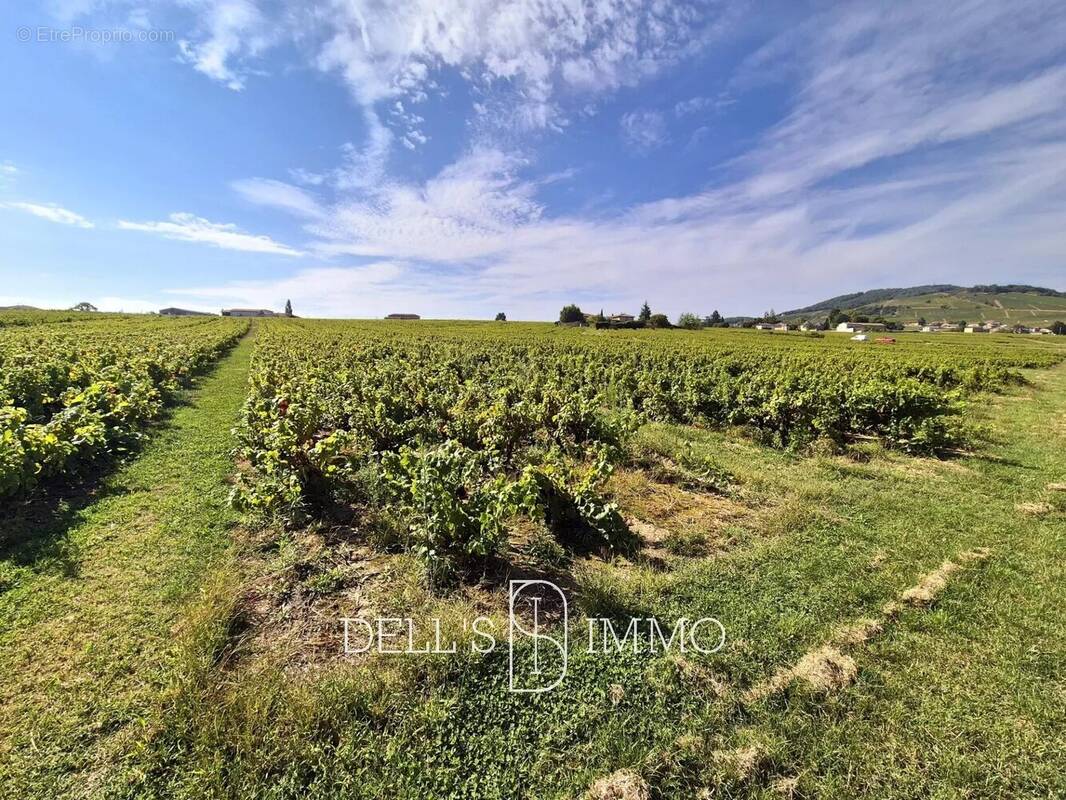 Terrain à CERCIE