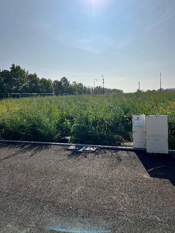 Terrain à TOMBLAINE