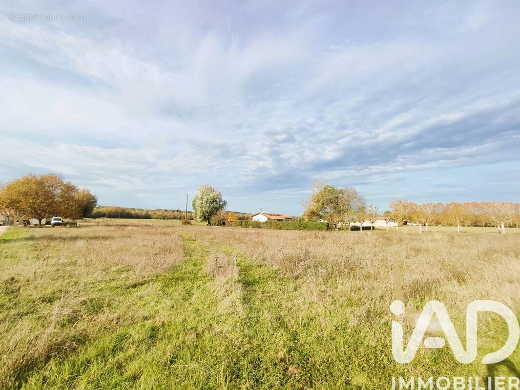 Photo 1 - Terrain à REALVILLE