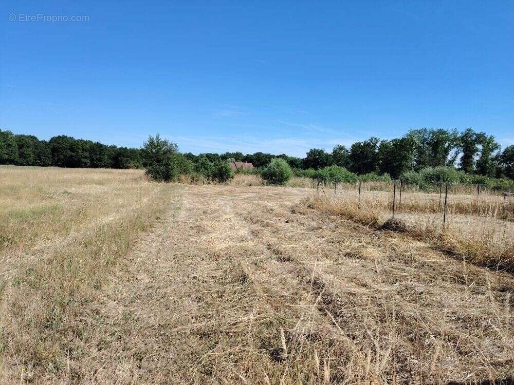 Terrain à SAINT-MAURICE-SUR-FESSARD