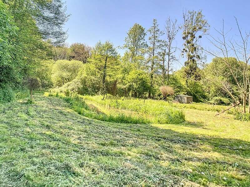 Maison à VILLEDIEU-LE-CHATEAU