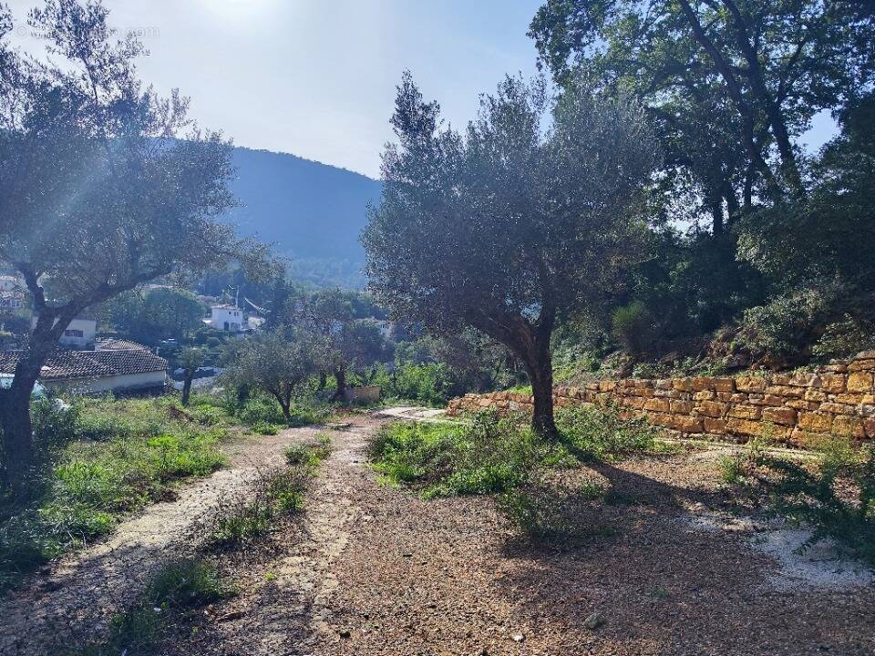 Terrain à SOLLIES-TOUCAS