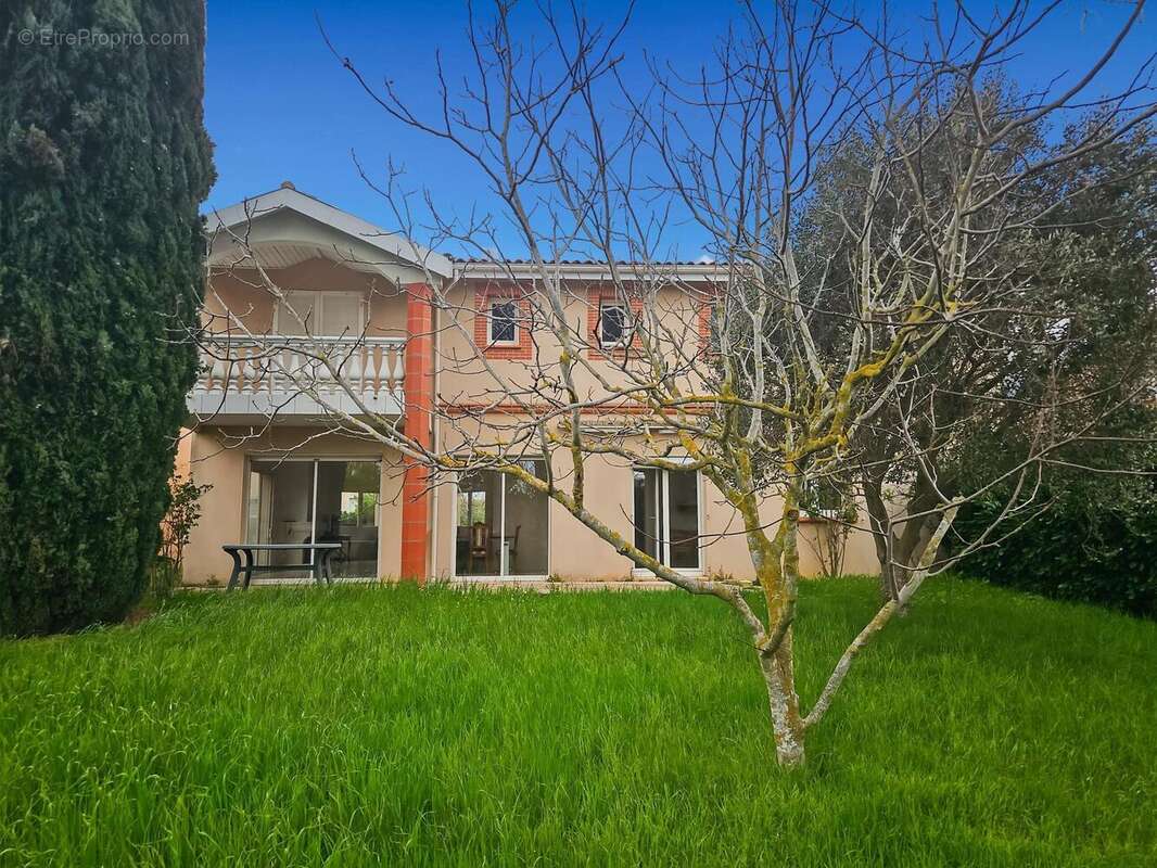 Photo 2 - Maison à TOULOUSE