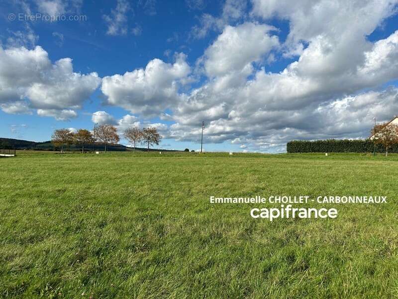 Terrain à VITTEAUX