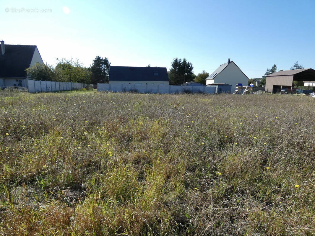 Terrain à COLTAINVILLE