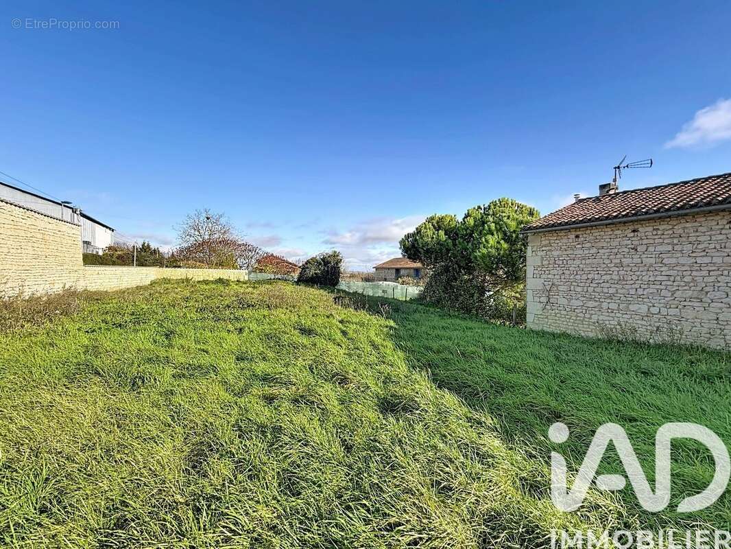 Photo 4 - Terrain à THURAGEAU