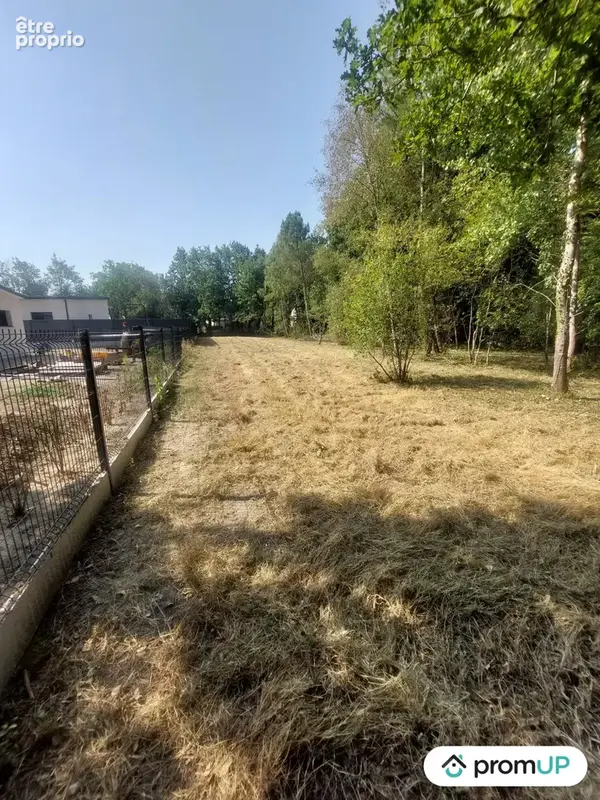 Terrain 1 209 m² à vendre à Ferel (56130) - photo 3