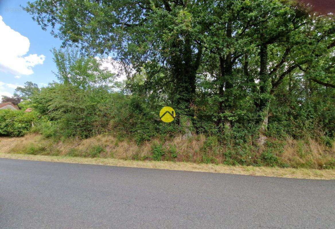 Terrain constructible de 2505 m² - photo 5