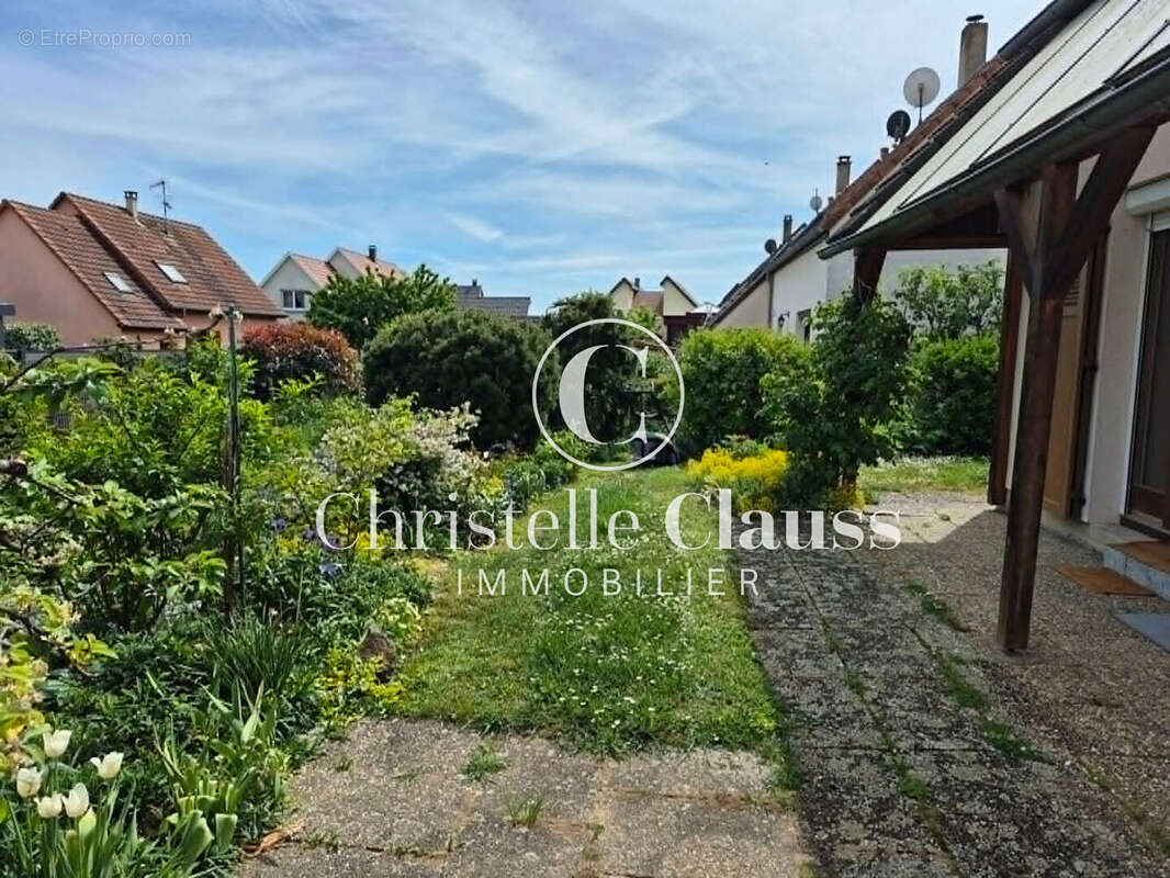 Maison à AMMERSCHWIHR