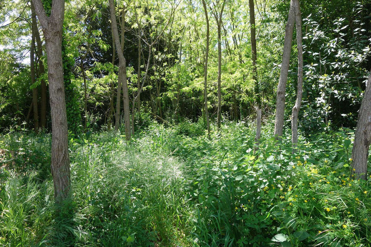 Terrain à SAINT-CHRISTOLY-DE-BLAYE
