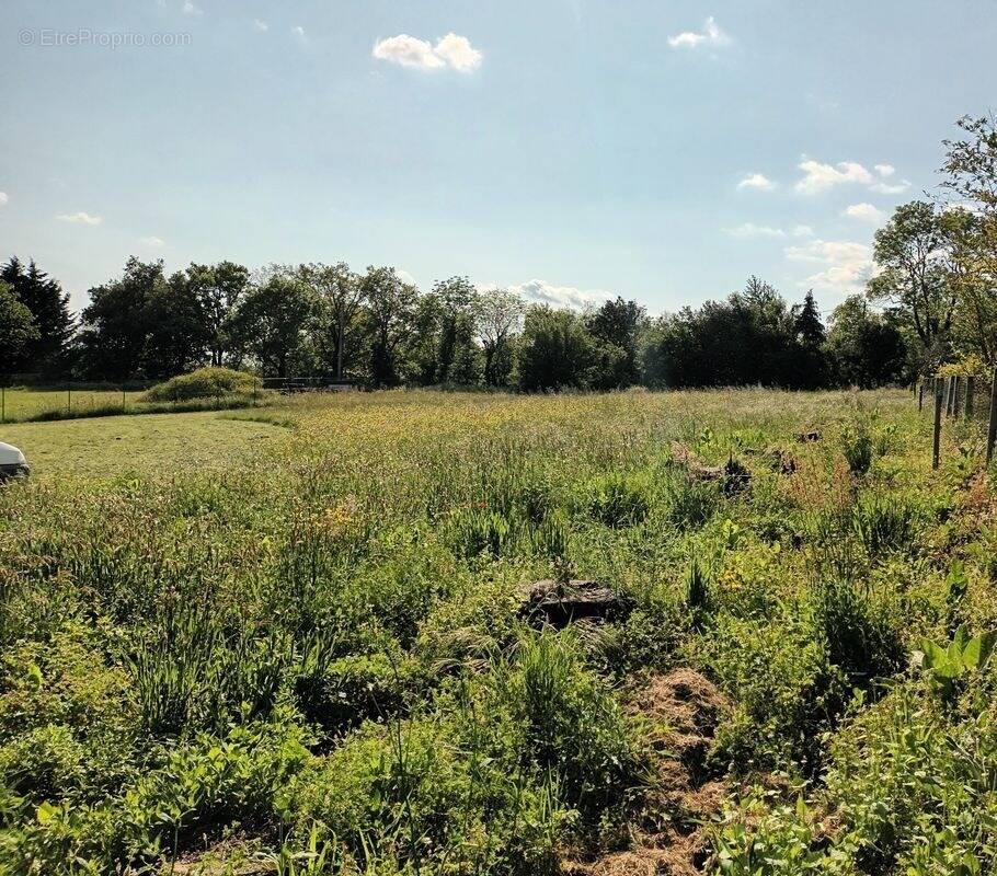 Terrain à SAINT-DENIS