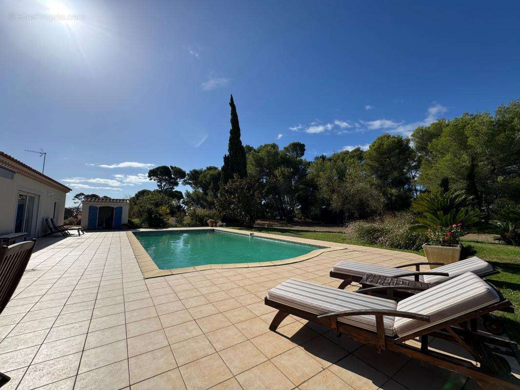 Propriété 179m² avec piscine - 23000m² de terrain - photo 5