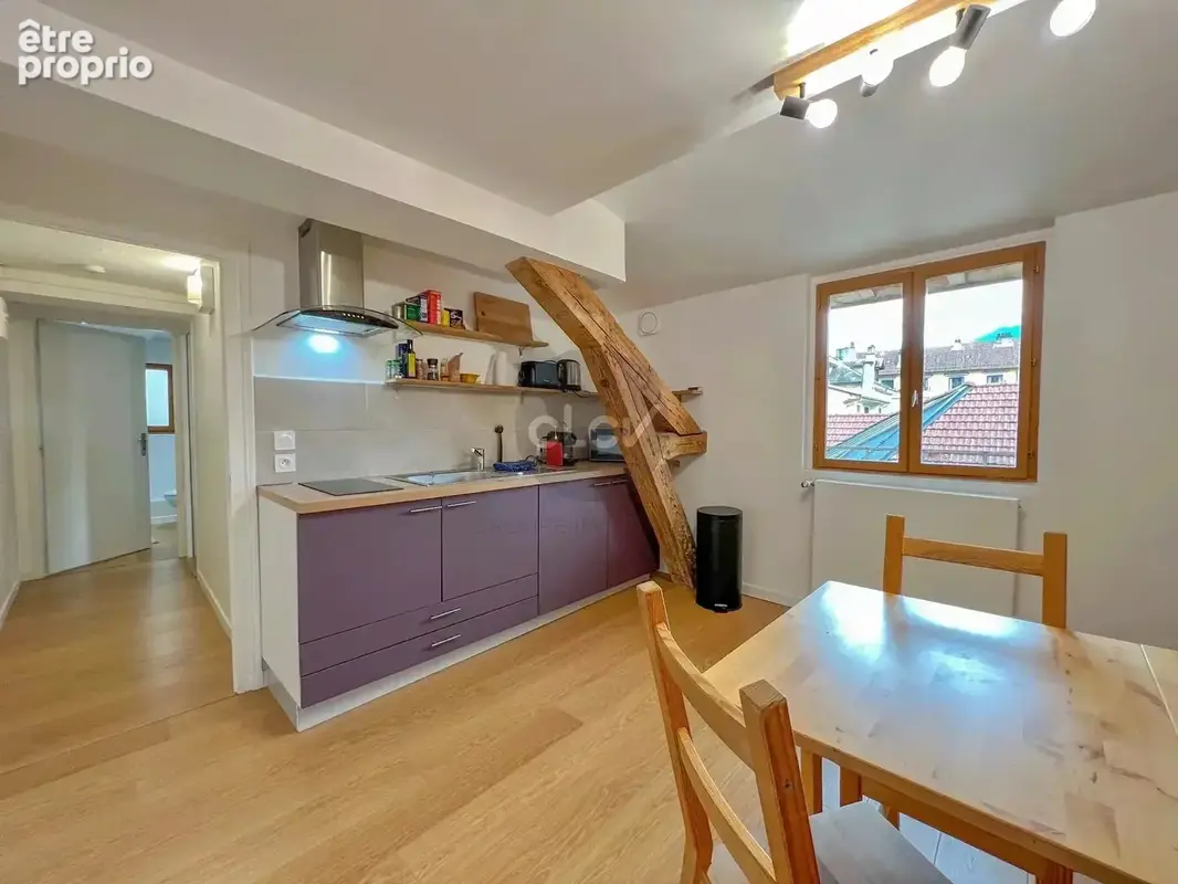 Appartement T3 centre ville Annecy - photo 2