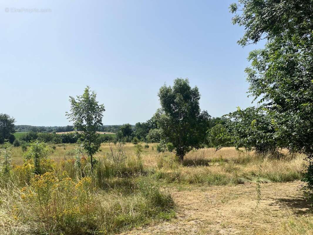 Photo 3 - Maison à BEAUMONT-DU-PERIGORD
