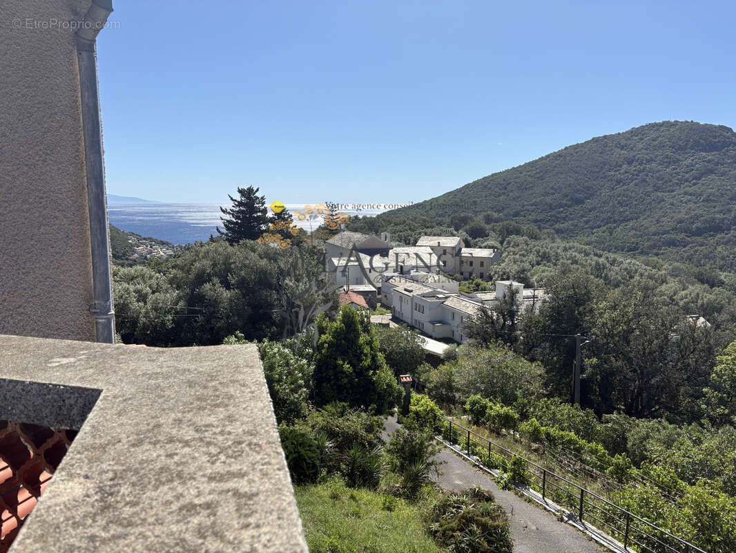 Maison à SANTA-MARIA-DI-LOTA