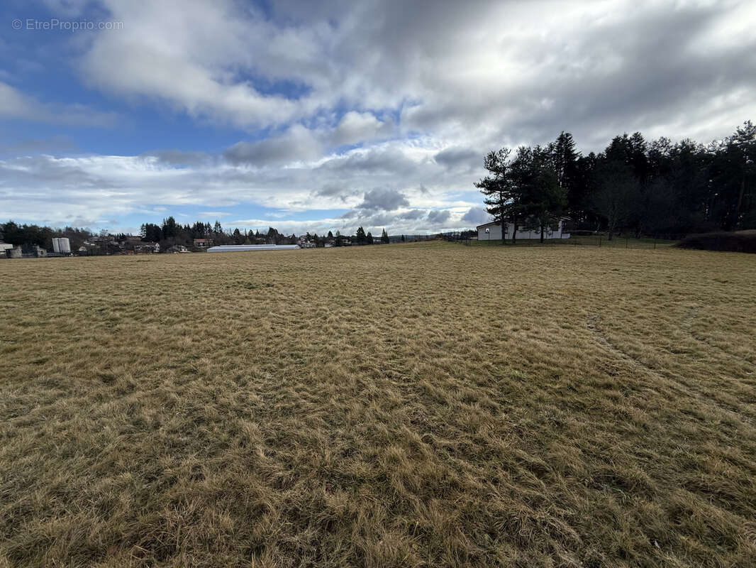 Terrain à SAINT-PAL-DE-MONS