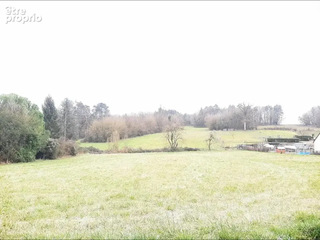 Terrain 5 063 m² à vendre à Neuil (37190) - photo 2