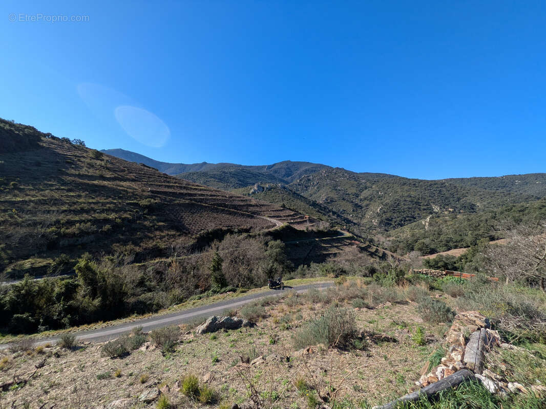 Vigne a vendre a collioure, avec casot, jolie vue - photo 4