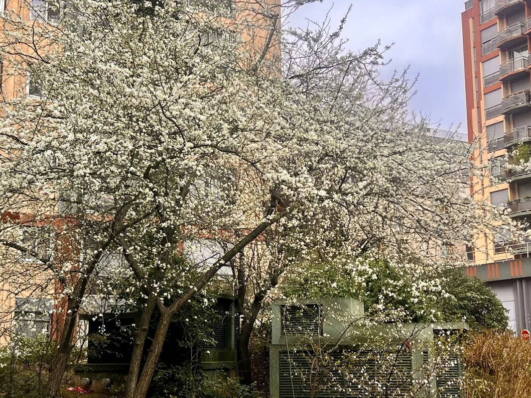 Appartement à PARIS-19E