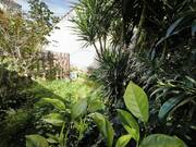 Maison à SAINT-LAURENT-DE-LA-CABRERISSE