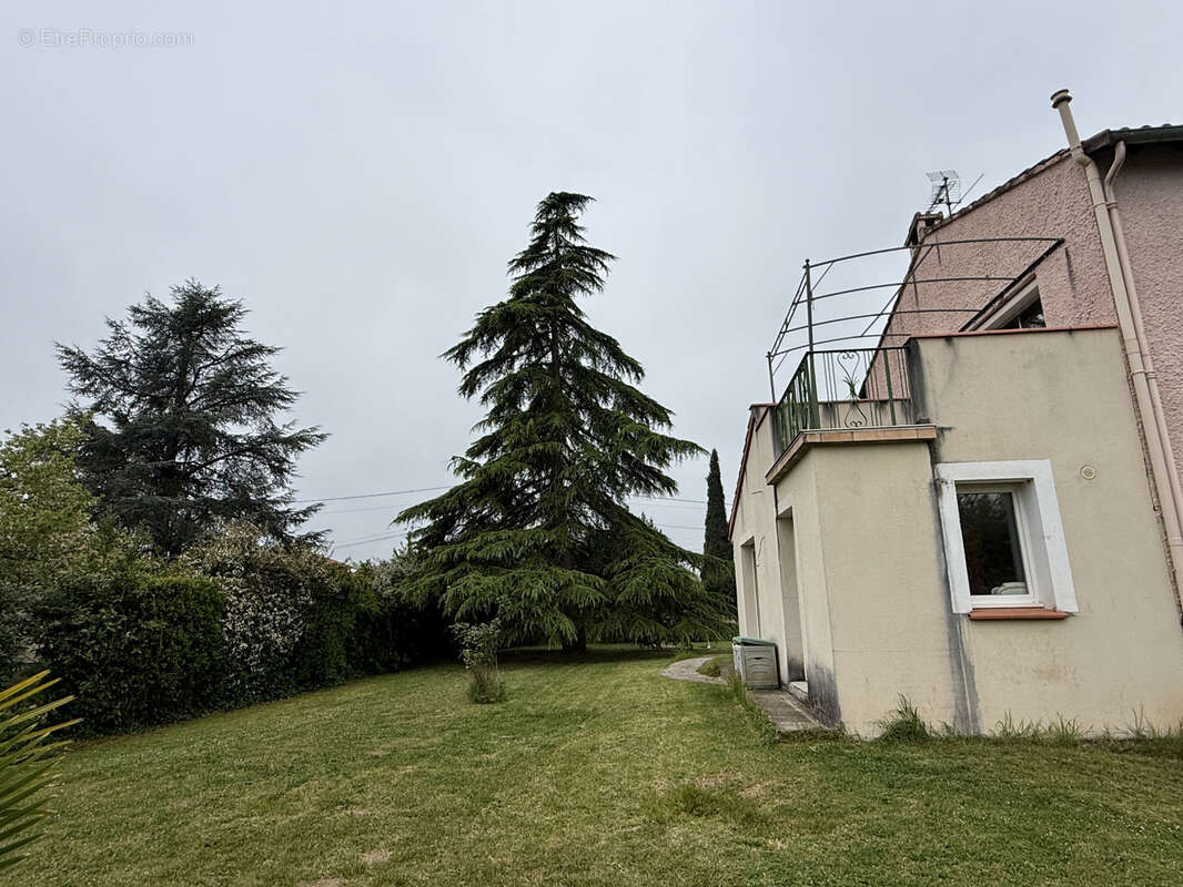 Maison à ALBI