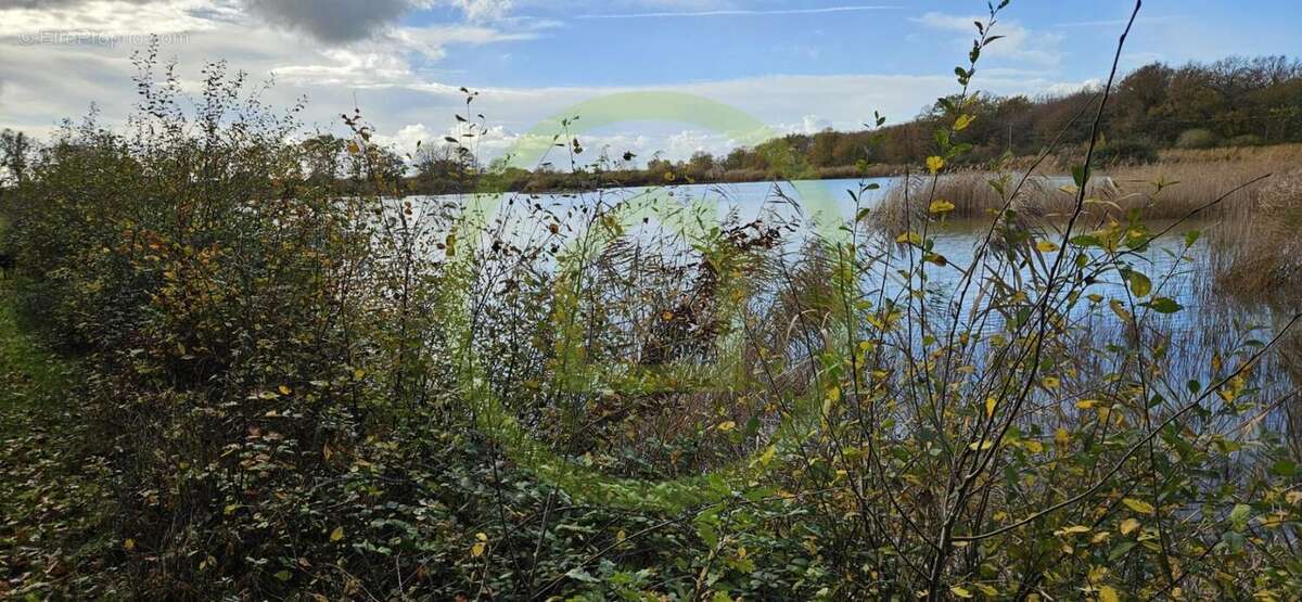 Terrain à MEZIERES-EN-BRENNE