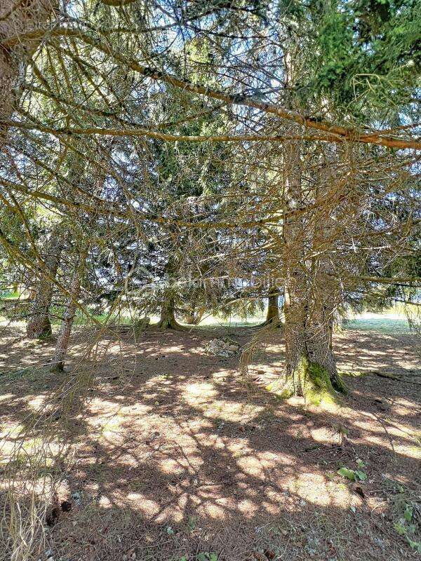 ***chalet atypique de 100 m2 terrain 1857 m2 en chartreuse calme et nature*** - photo 27