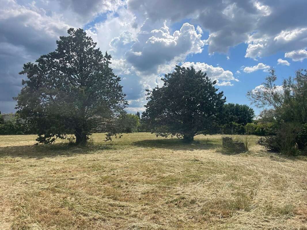 Superbe terrain de 1155 m² au calme - photo 5