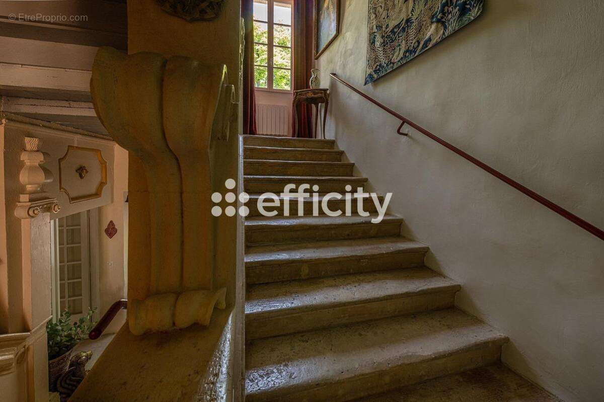 Maison 242 m² à Villeneuve-Sur-Vere  - photo 11