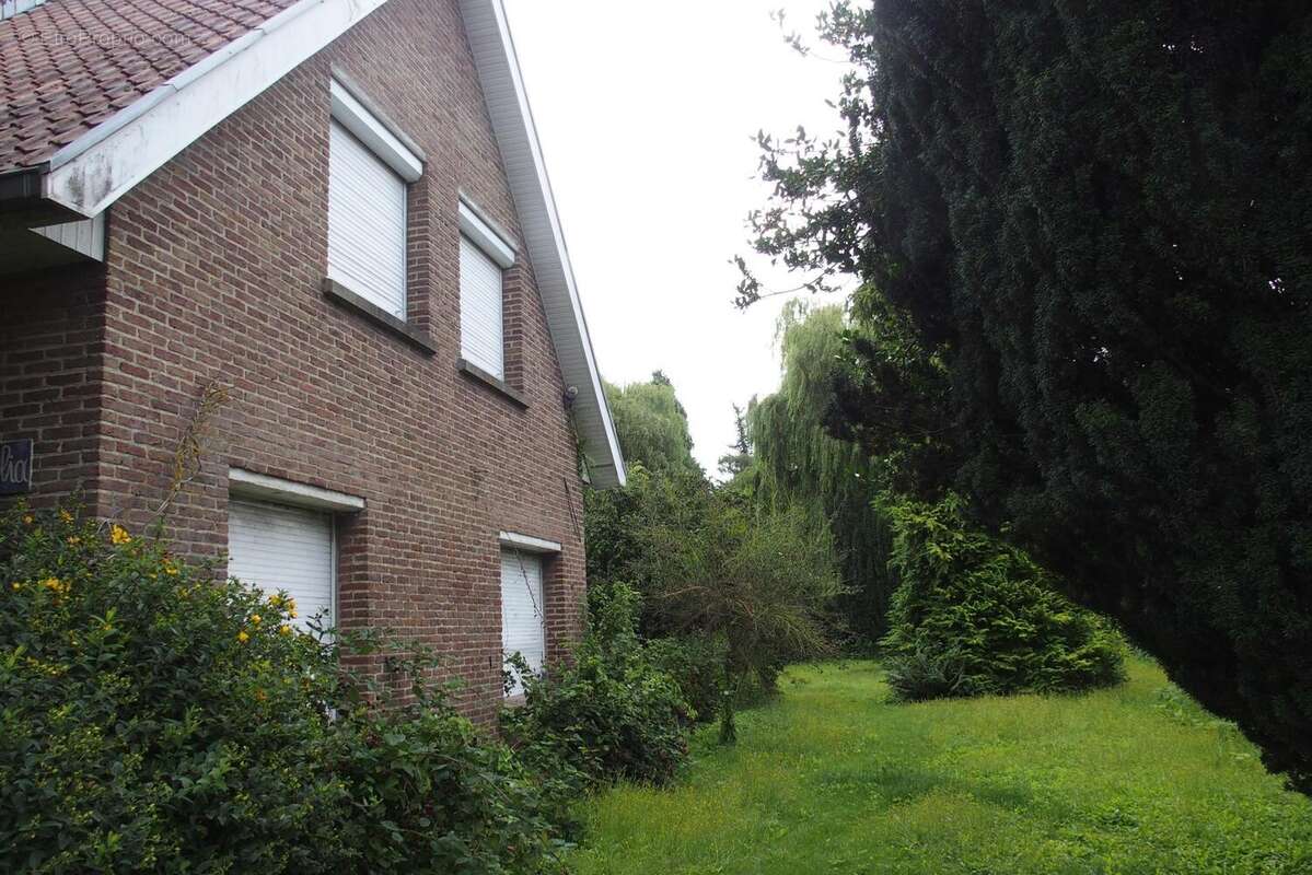 Photo 5 - Maison à SAINGHIN-EN-MELANTOIS