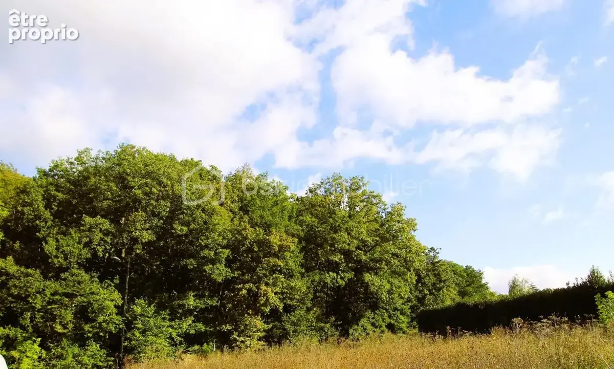 Terrain constructible au calme de 948 m² environ de surface, façade de 36.16 ml - photo 3
